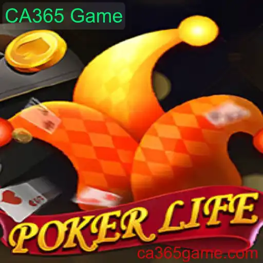 Descubra Tudo Sobre PokerLife: O Novo Jogo Online com Dinâmica Inovadora