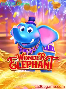 Explorando o Universo de WonderElephant